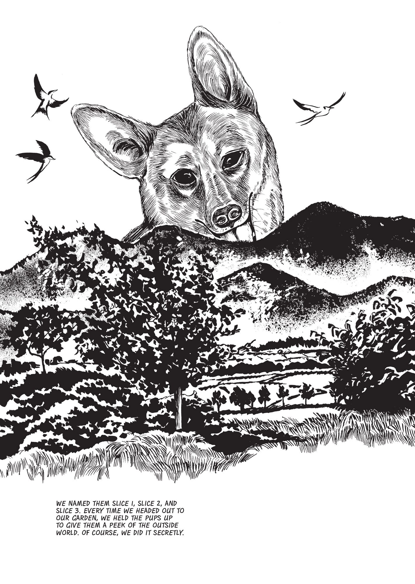 A black and white illustration from the novel Dog Days featuring a happy Corgi above a grassy mountain top with swallows flying around his head